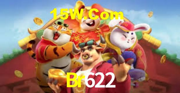 Premium Interface Br622